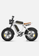 M20 Motorcycle-styled Electric Bike