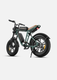 M20 Motorcycle-styled Electric Bike