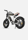 M20 Motorcycle-styled Electric Bike