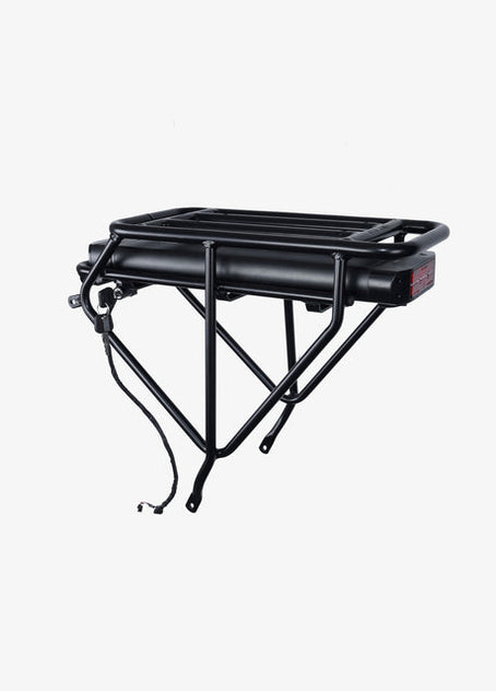 Gepäckträger + 48V13Ah Akku für EP-2 Pro