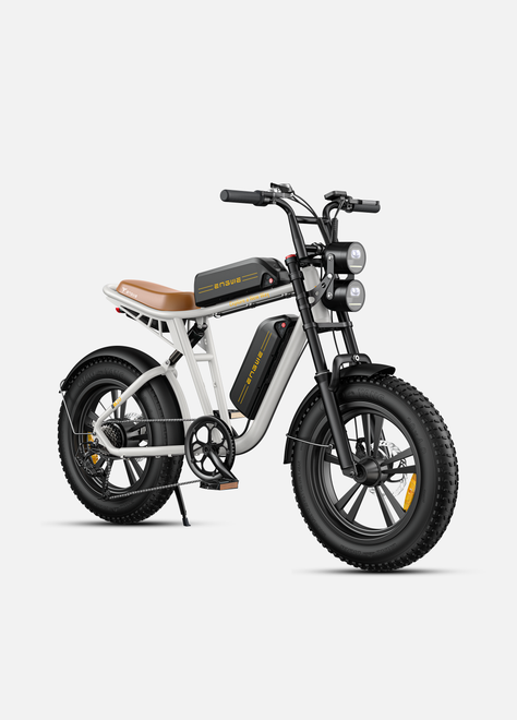 M20 Motorcycle-styled Electric Bike