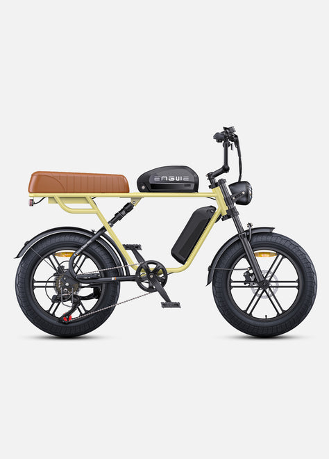 M1 Motorcycle-styled Electric Bike