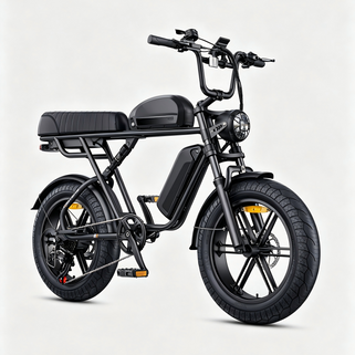 M1 Motorcycle-styled Electric Bike