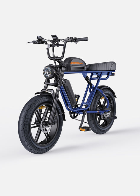 M1 Motorcycle-styled Electric Bike