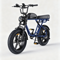 Bleu Navi-Vélo électrique de style moto M1